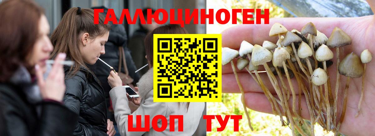 Псилоцибиновые грибы мухоморы Богородицк
